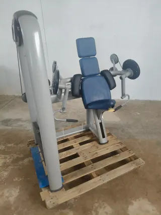 BICEPS TECHNOGYM SELECTION!
