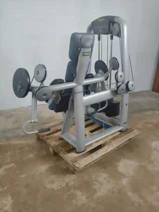 BICEPS TECHNOGYM SELECTION!