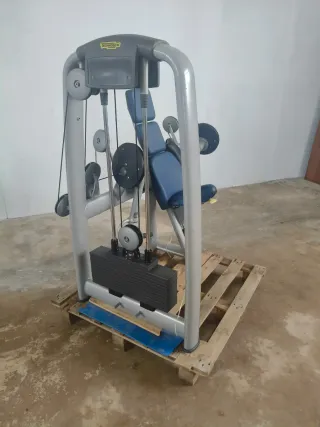 BICEPS TECHNOGYM SELECTION!