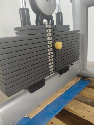 BICEPS TECHNOGYM SELECTION!