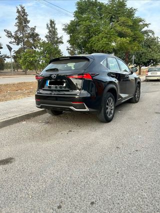 Lexus NX 2018