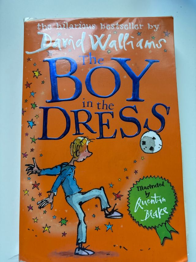 The Boy in the Dress