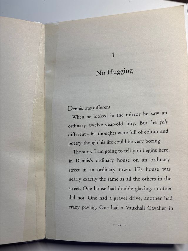 The Boy in the Dress