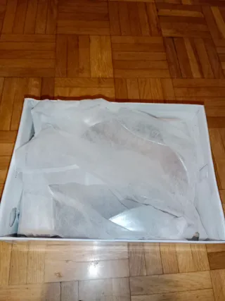 Zapatos de fiesta Tulipano plateados.
