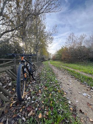 Bicicletta MTB Berria Bravo br taglia M