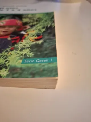 El niño de 1 a 4 años