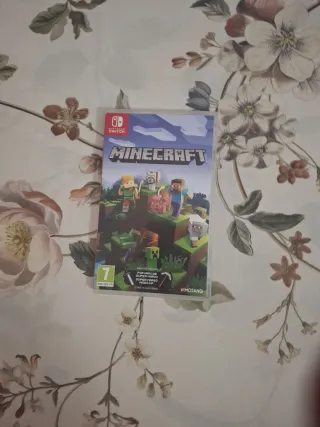 Minecraft Nintendo Switch