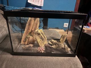 Acuario con accesorios decorativos
