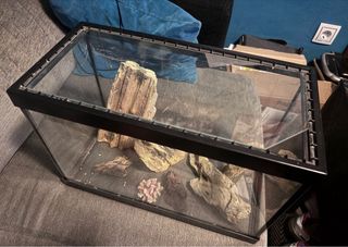 Acuario con accesorios decorativos