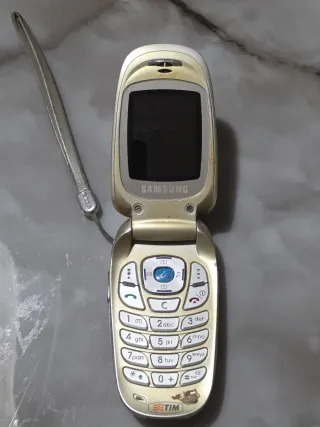 Samsung SGH-E330N Cellulare Oro/Argento