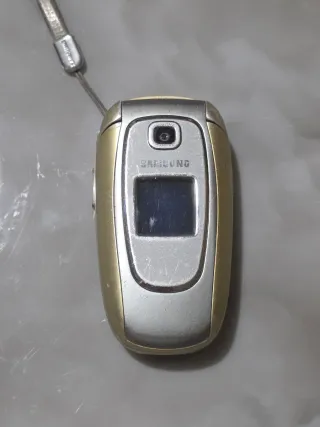 Samsung SGH-E330N Cellulare Oro/Argento