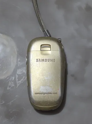 Samsung SGH-E330N Cellulare Oro/Argento