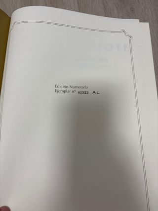 Don Quijote de la Mancha — Edición de Lujo 