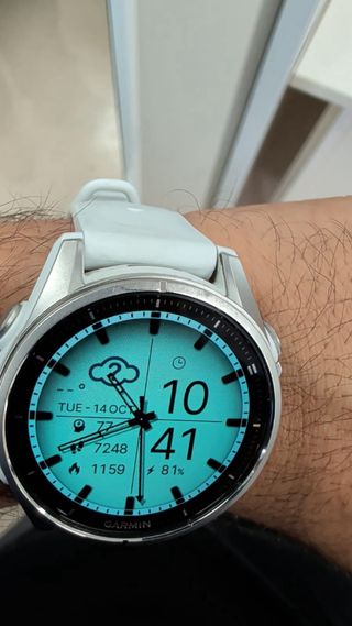 Reloj Garmin Fenix 8 GPS Plata/Gris correa blanca