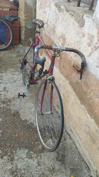 Bicicleta de corredor morada