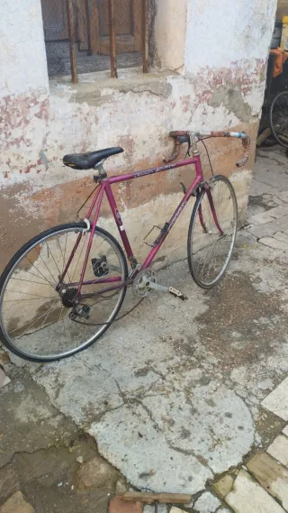 Bicicleta de corredor morada