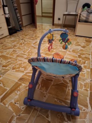 Sdraietta Fisher-Price Newborn-to-Toddler Rocker