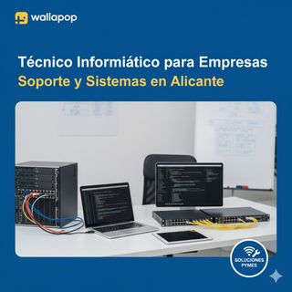 Técnico Informático Empresas | Soporte y Sistemas