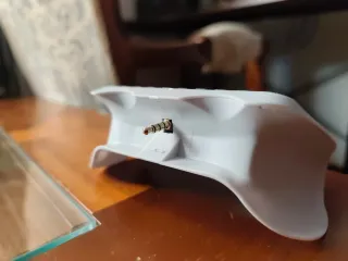 Teclado para mando PS5 Blanco