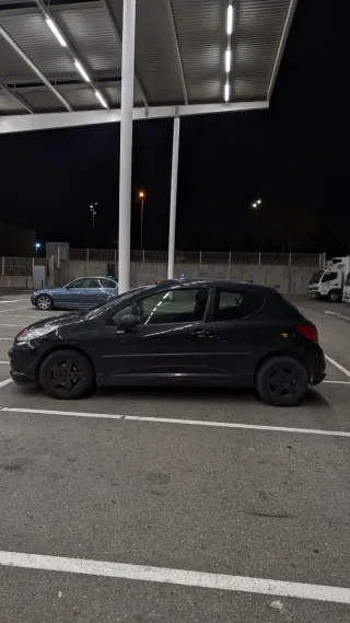 Peugeot 207 2007 fallo antipolución