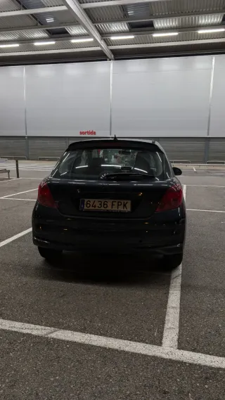 Peugeot 207 2007 fallo antipolución