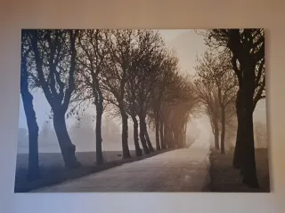 Lienzo Decorativo 78x118cm