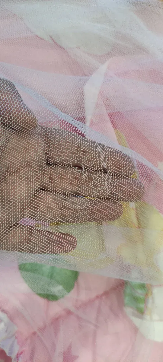 Cuna de verano para bebé con mosquitera