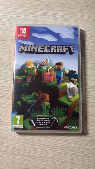 Minecraft Nintendo Switch
