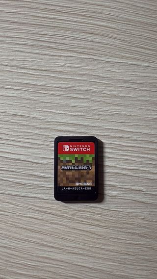 Minecraft Nintendo Switch