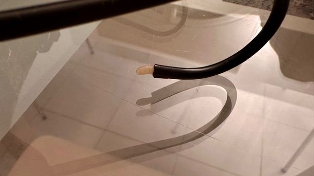 Gafas sol CÉBÉ 295 Walter Cecchinel lunettes 2000