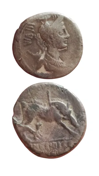 Denario Republicano Gens Hosidia