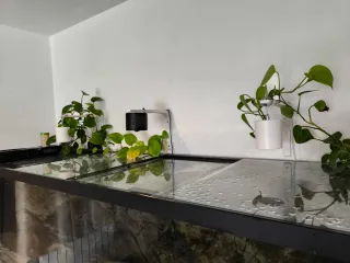 Acuario 840L Cristal Óptico y fondo 3d Aquadecor