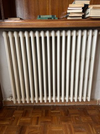 Radiador de hierro fundido blanco
