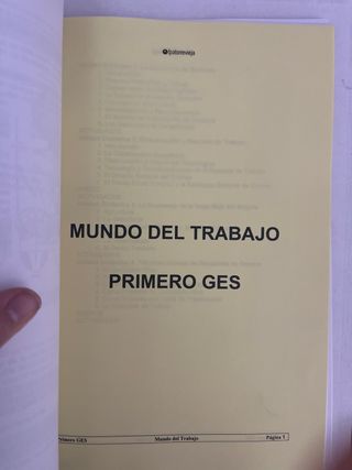 Lengua y Literatura 1º GES