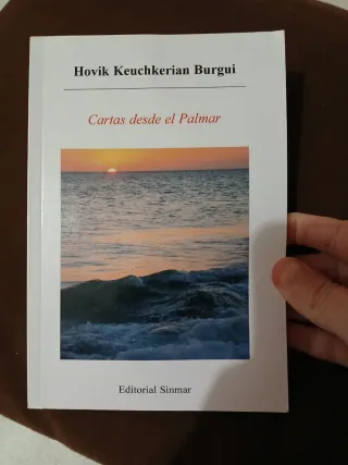 Cartas Desde El Palmar (Spanish Edition)