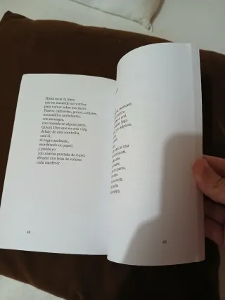 Cartas Desde El Palmar (Spanish Edition)