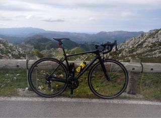 Orbea Orca Carbono Talla 53