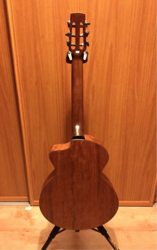 Guitarra Schertler Paggeli Nylon