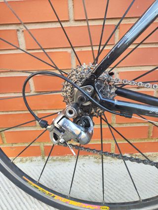 Bicicleta de carretera Specialized Roubaix Carbono
