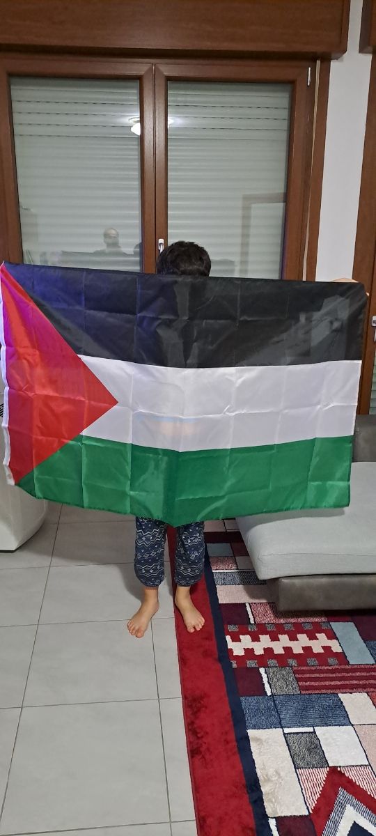 Bandiera di Palestina 