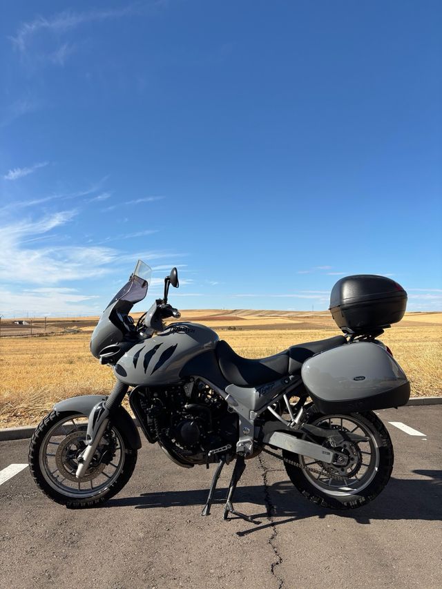 Triumph Tiger 955i Gris