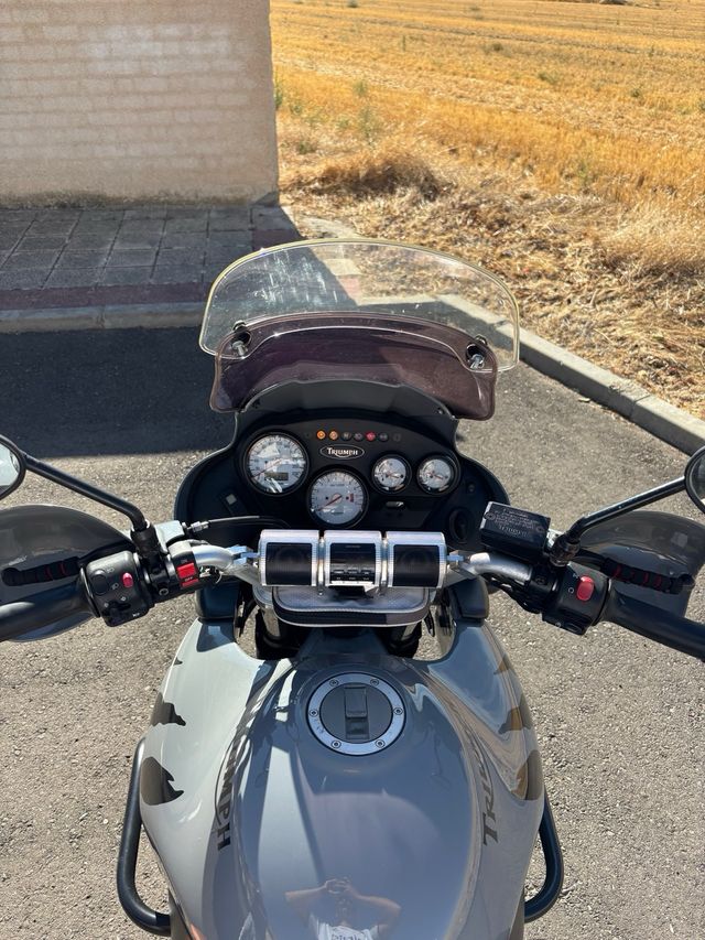 Triumph Tiger 955i Gris