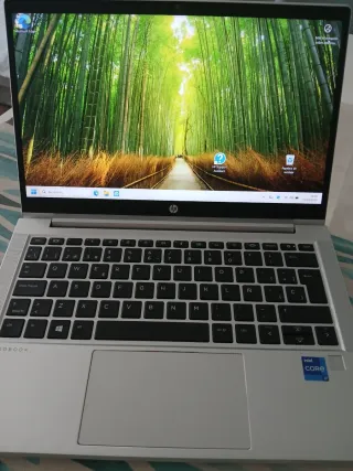 Ordenador portátil HP Plata