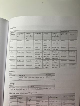 Diccionario básico latino-español (Spanish Edit...