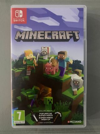 Minecraft Nintendo Switch