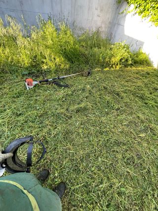 se realiza trabajos de jardinería, limpieza 