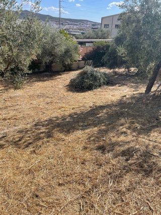 se realiza trabajos de jardinería, limpieza 