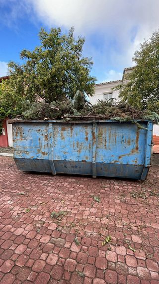 se realiza trabajos de jardinería, limpieza 