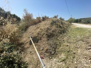 se realiza trabajos de jardinería, limpieza 