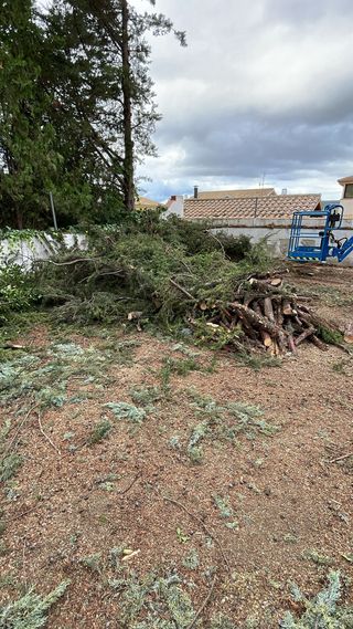 se realiza trabajos de jardinería, limpieza 